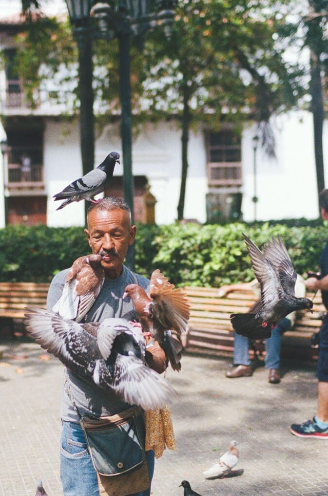 Man feeding birds