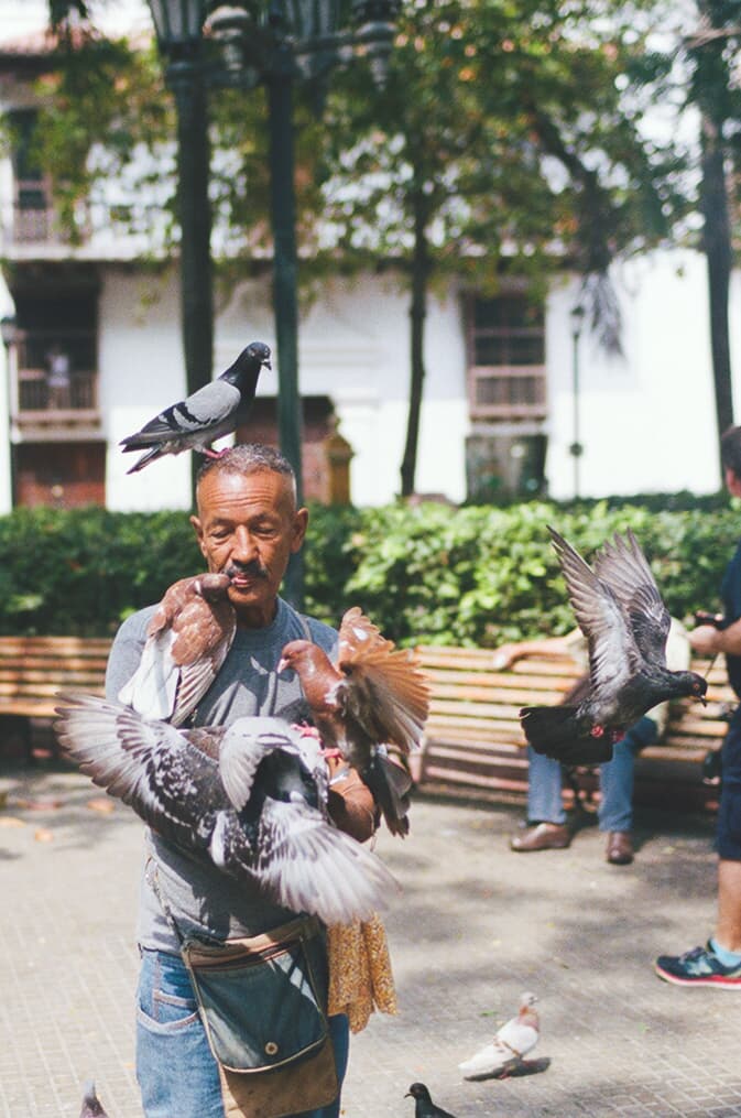 Man feeding birds