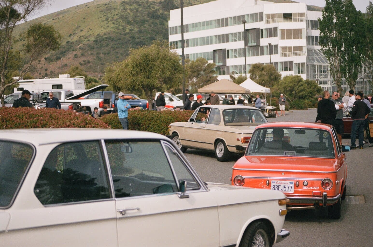 BMW 2002s parked at a BayArea02 meet in Brisbane with hills behind