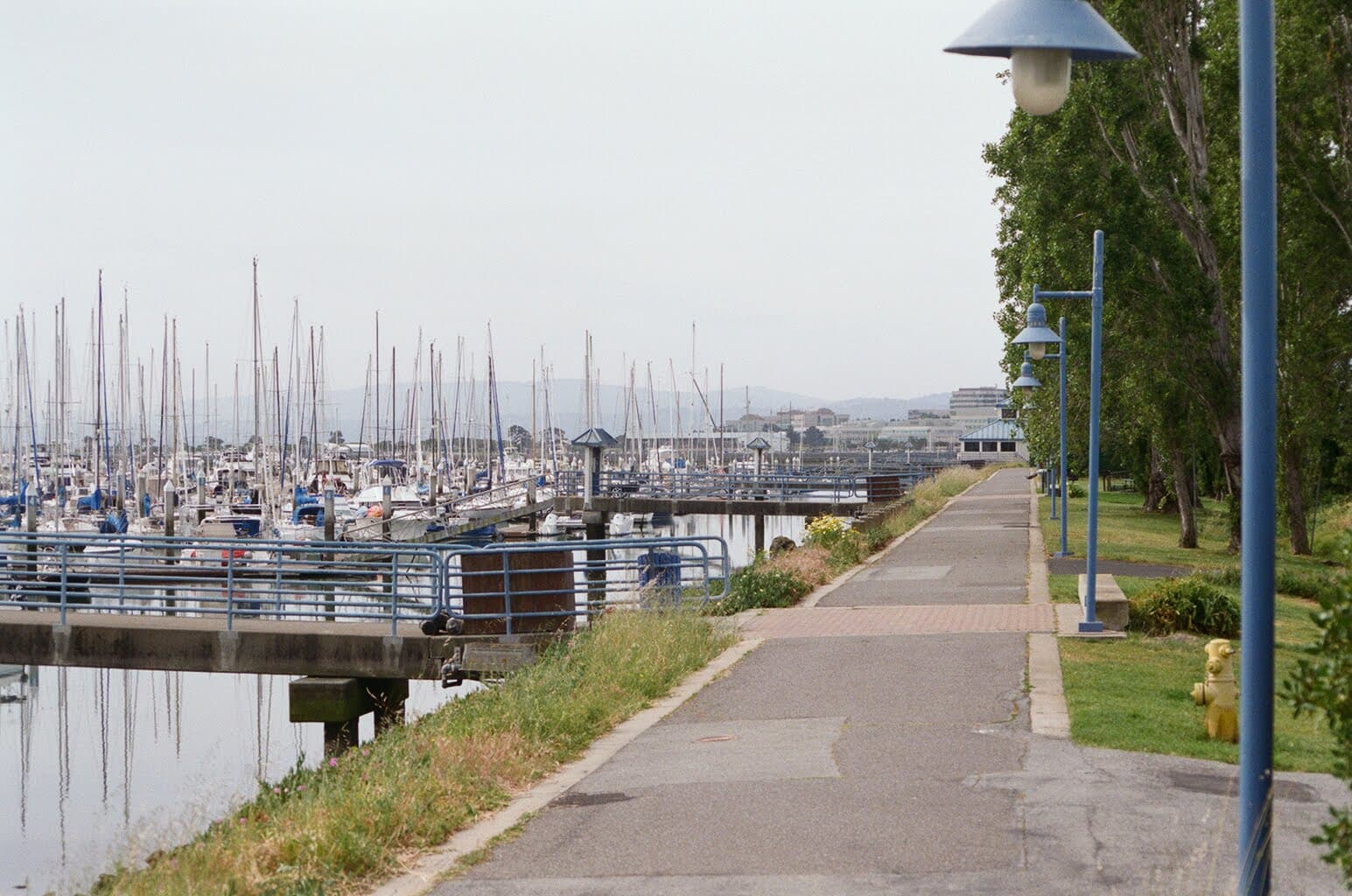 Walking path along the Brisbane Marina with sailboats and blue lampposts