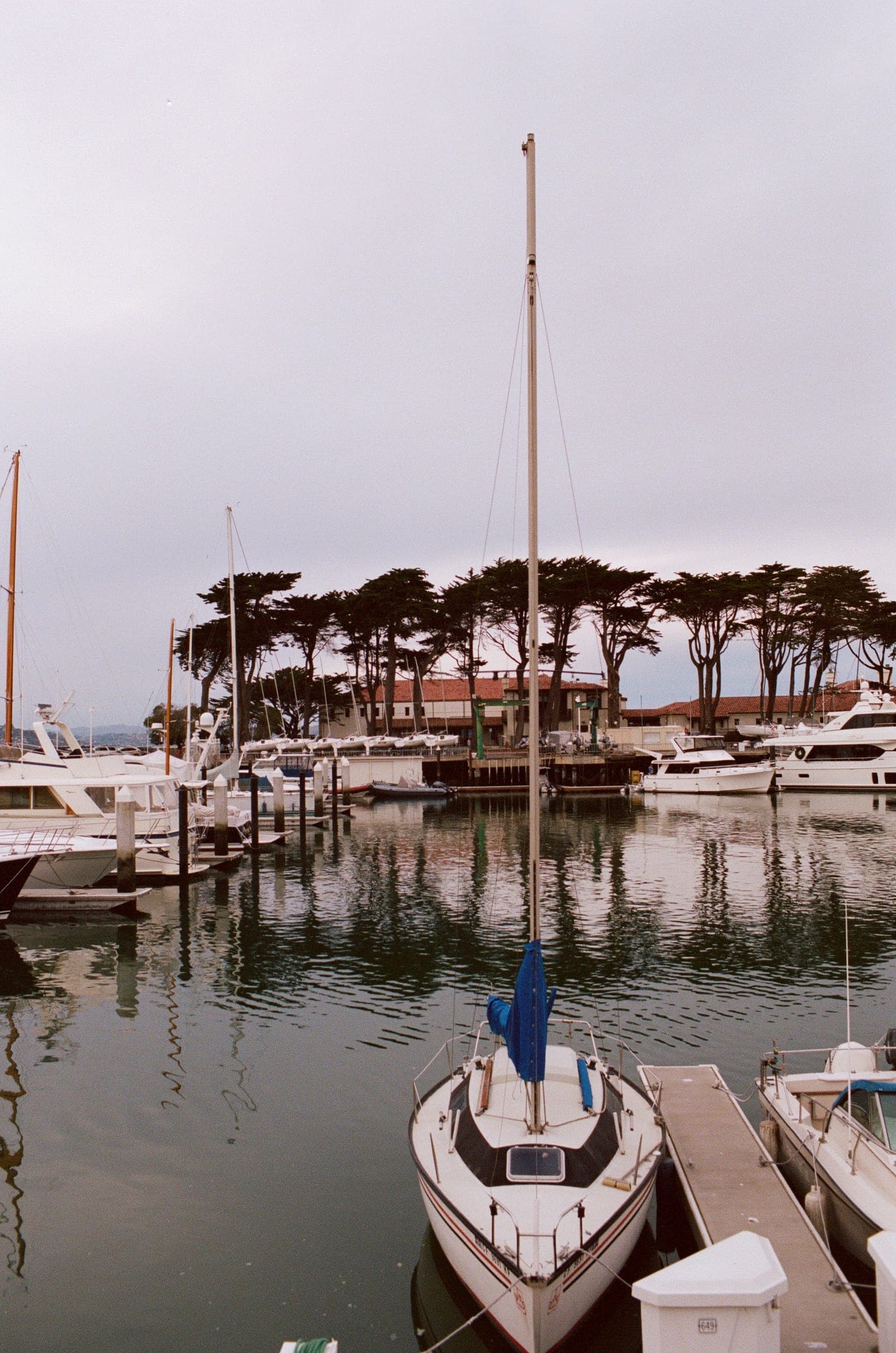 Sailboats in the Marina with cypress trees and the St Francis Yacht Club behind