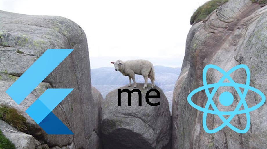 Lamb Bobby between a rock and a hard place